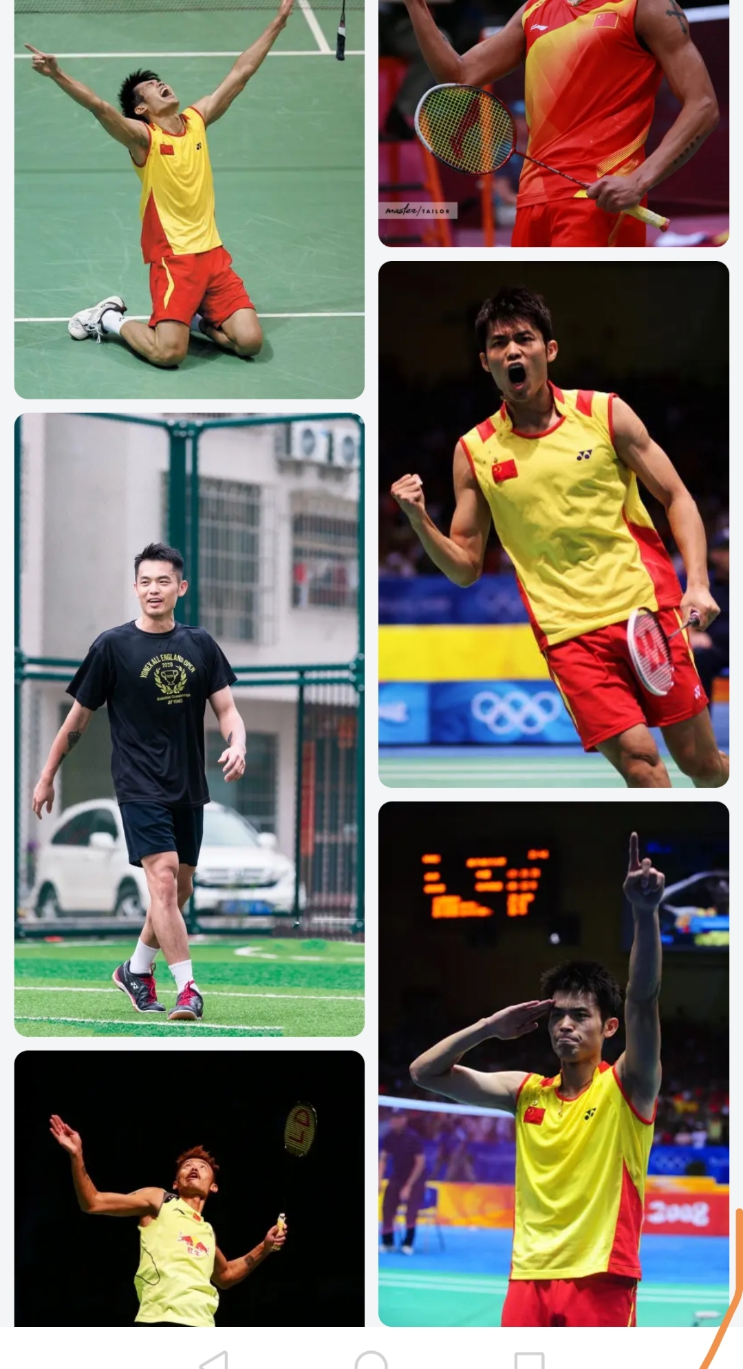 黑白直播-法国羽毛球队险胜丹麦羽毛球队，林丹统治全场的简单介绍