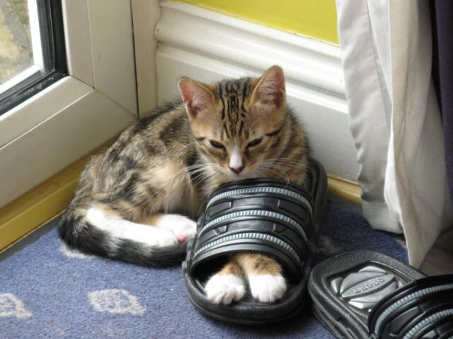 黑白直播nba-铁血广厦强行终结新疆不败神话，CBA年度焦点战重新定义联盟格局