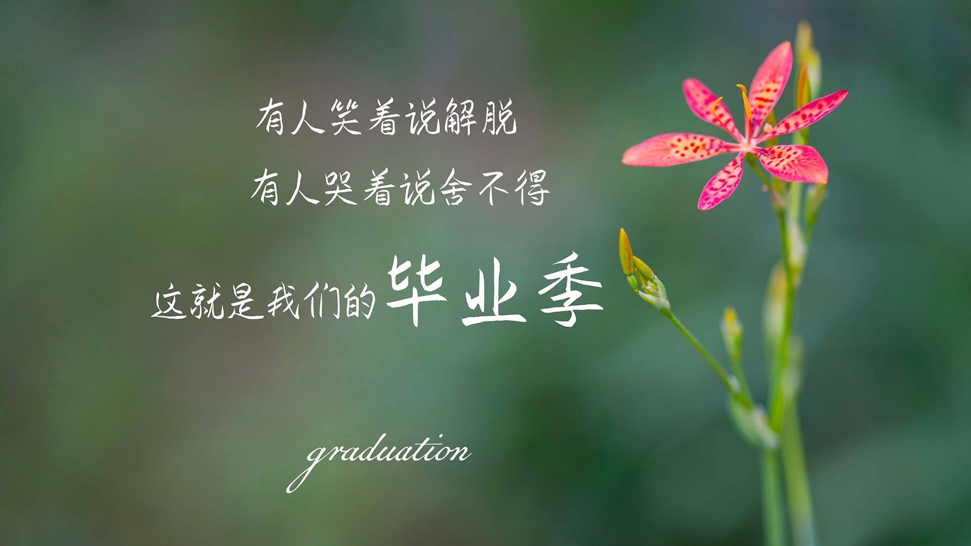 奥运周期关键战之夜，米切尔让比赛提前失去悬念