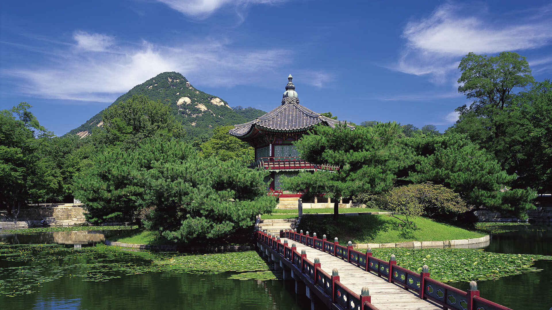 黄蜂大战山西，爱德华兹全程高能输出引爆全场