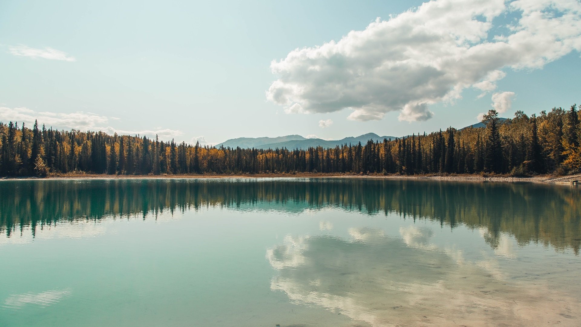 美加墨世界杯焦点战，森林狼火力全开，跨界压制广东队