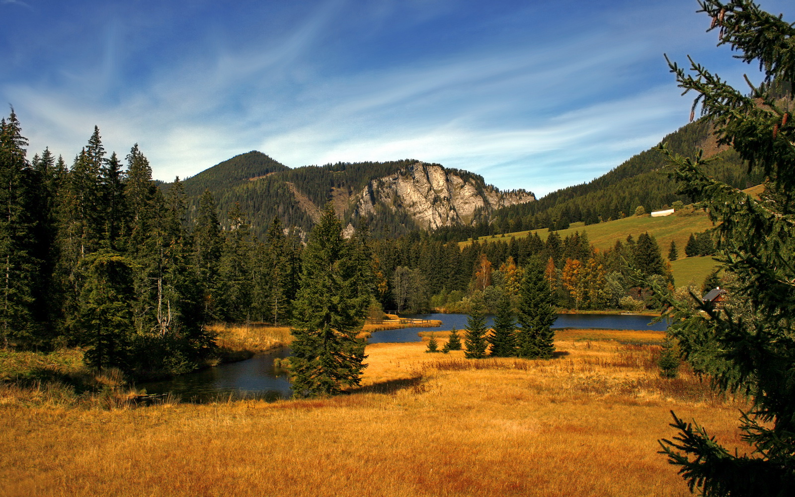 黑白直播网-浓眉关键时刻定乾坤，广东团队篮球收割76人