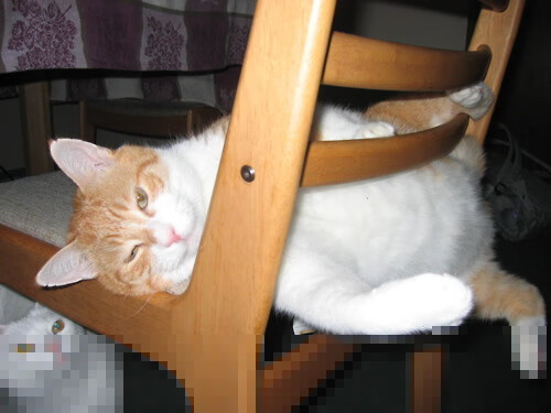 黑白直播nba-蔚蓝防线的裂痕，努涅斯的冰火之歌撕裂希腊神话