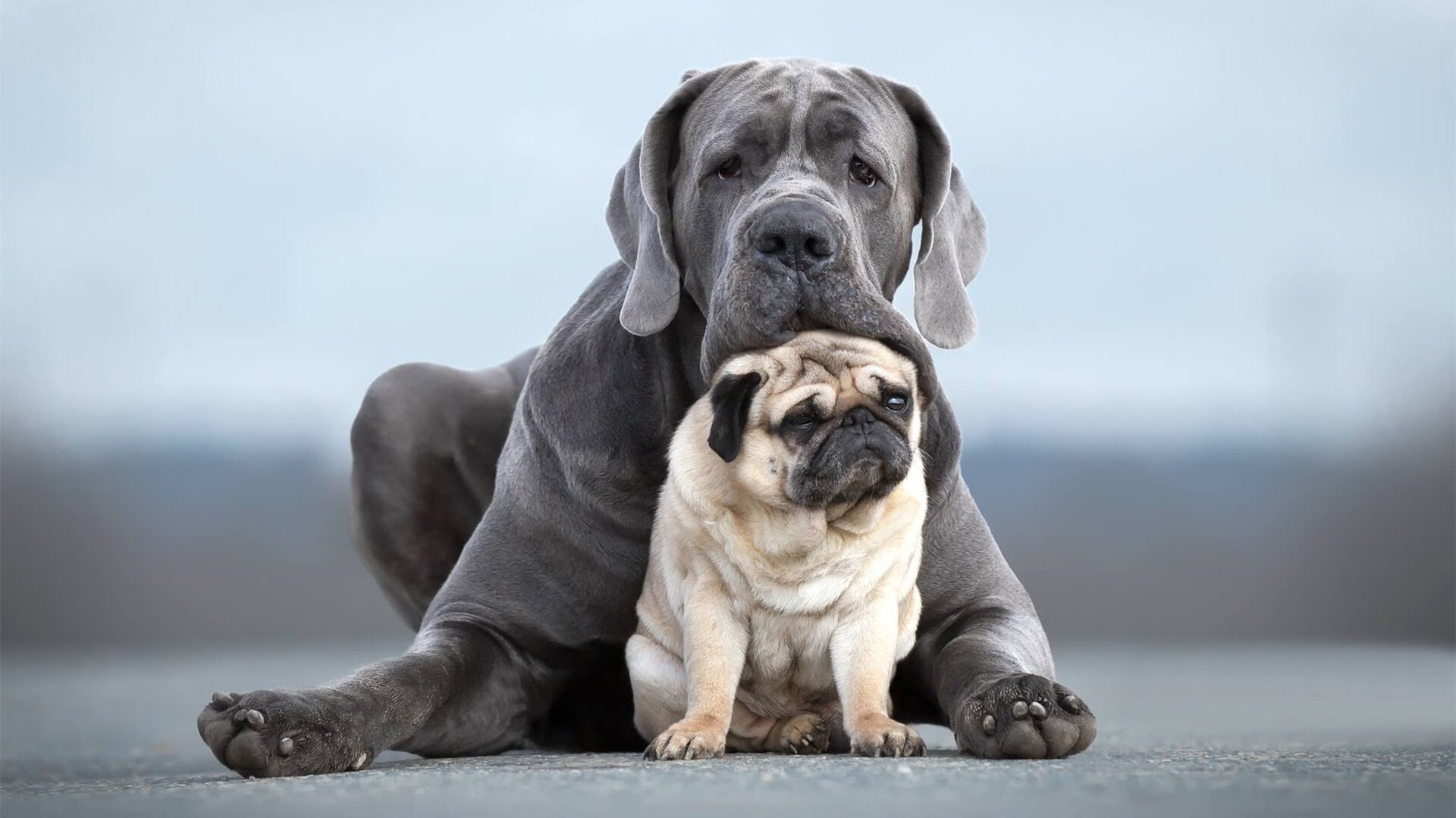 黑白直播免费体育直播-萨内关键时刻挺身而出,芬兰提前终结与几内亚的悬念
