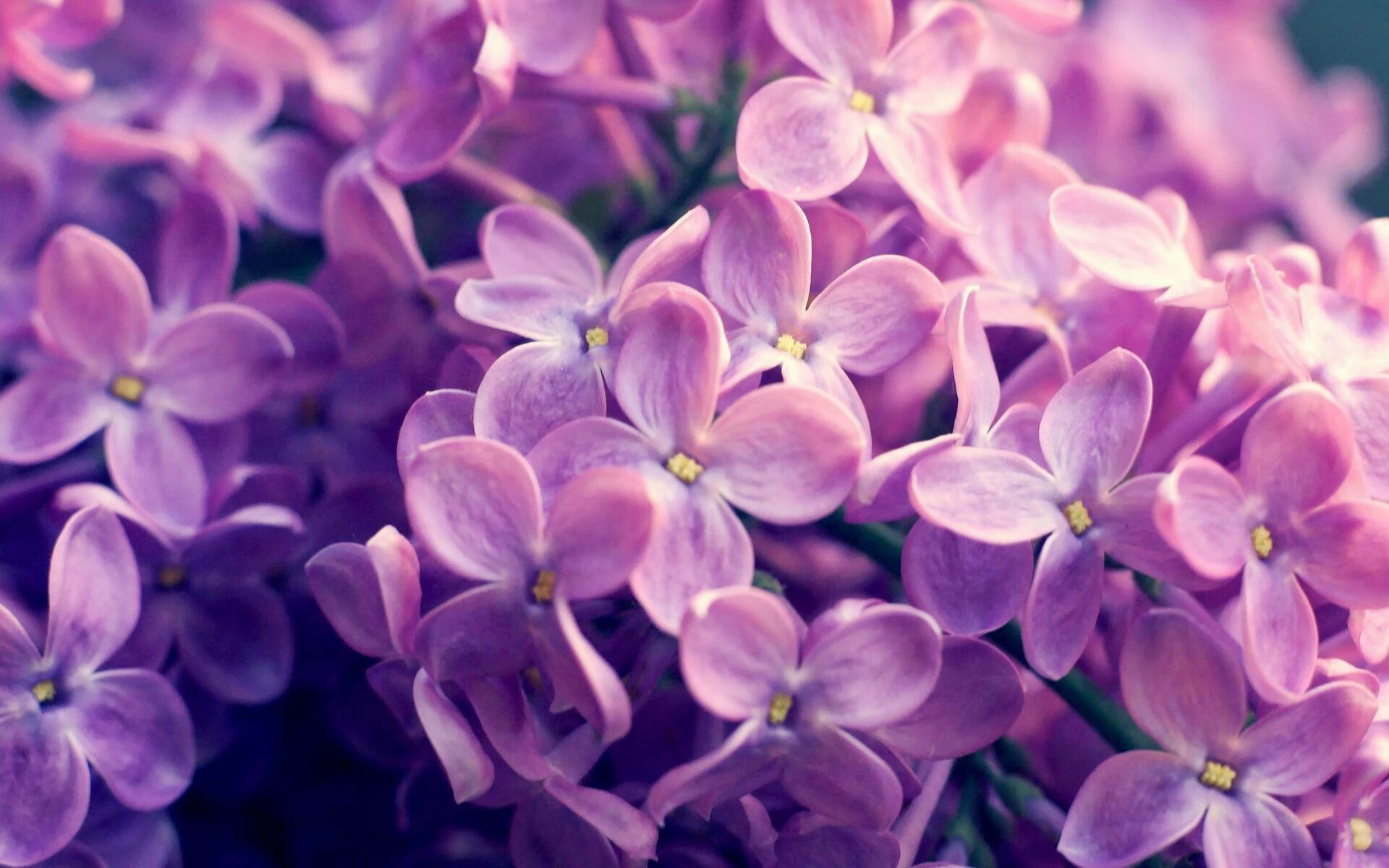 黑白直播体育-双塔擎天!浙江最后时刻逆转骑士,班凯罗一攻一防定乾坤