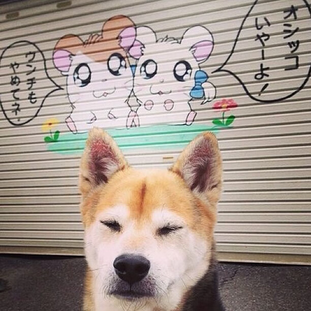 撕碎质疑的夜晚,当哈登用爆炸数据重写命运脚本