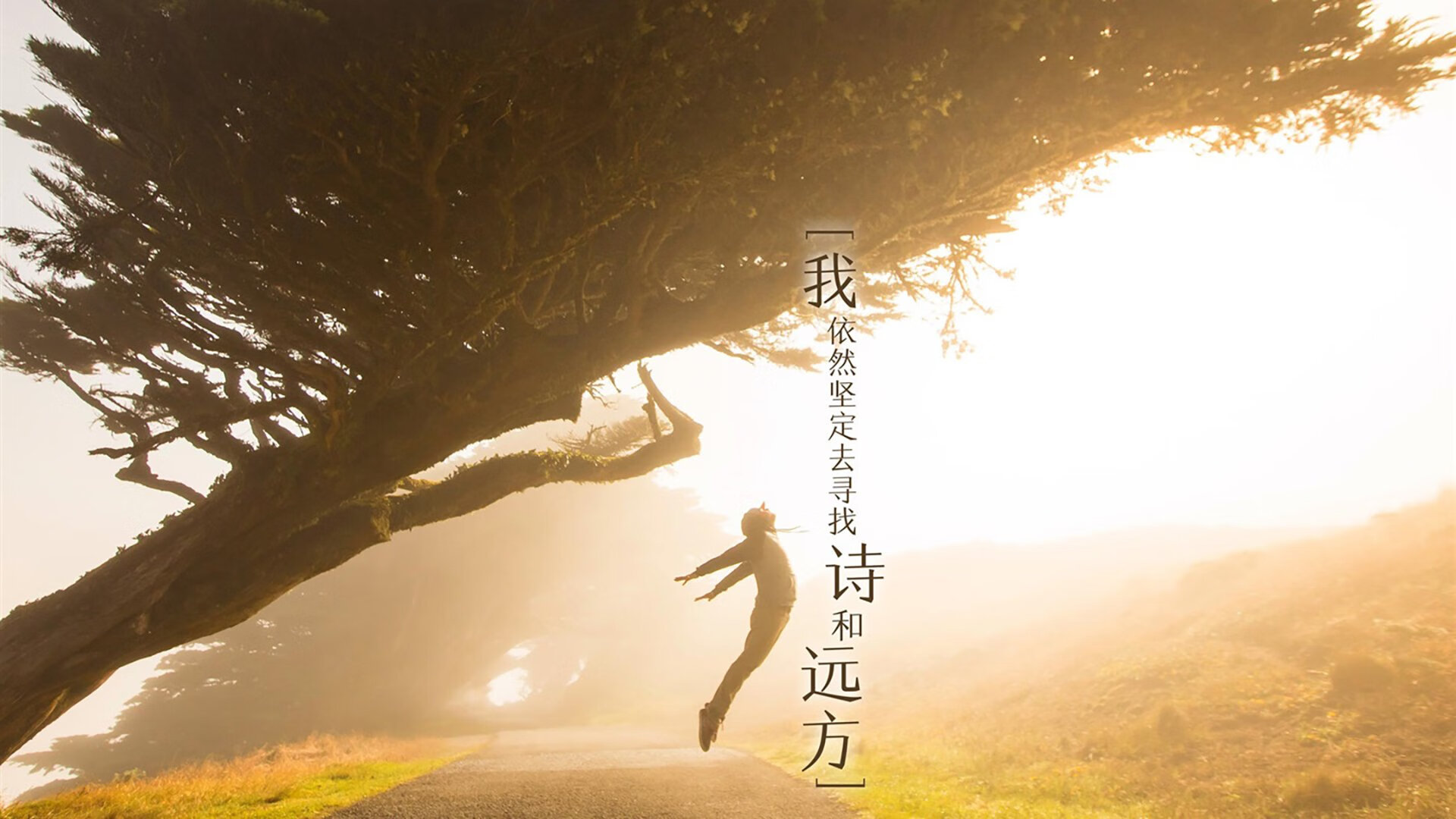 黑白直播-橙衣军团横扫千军,荷兰3-0完胜波兰,阿诺德率队防守固若金汤