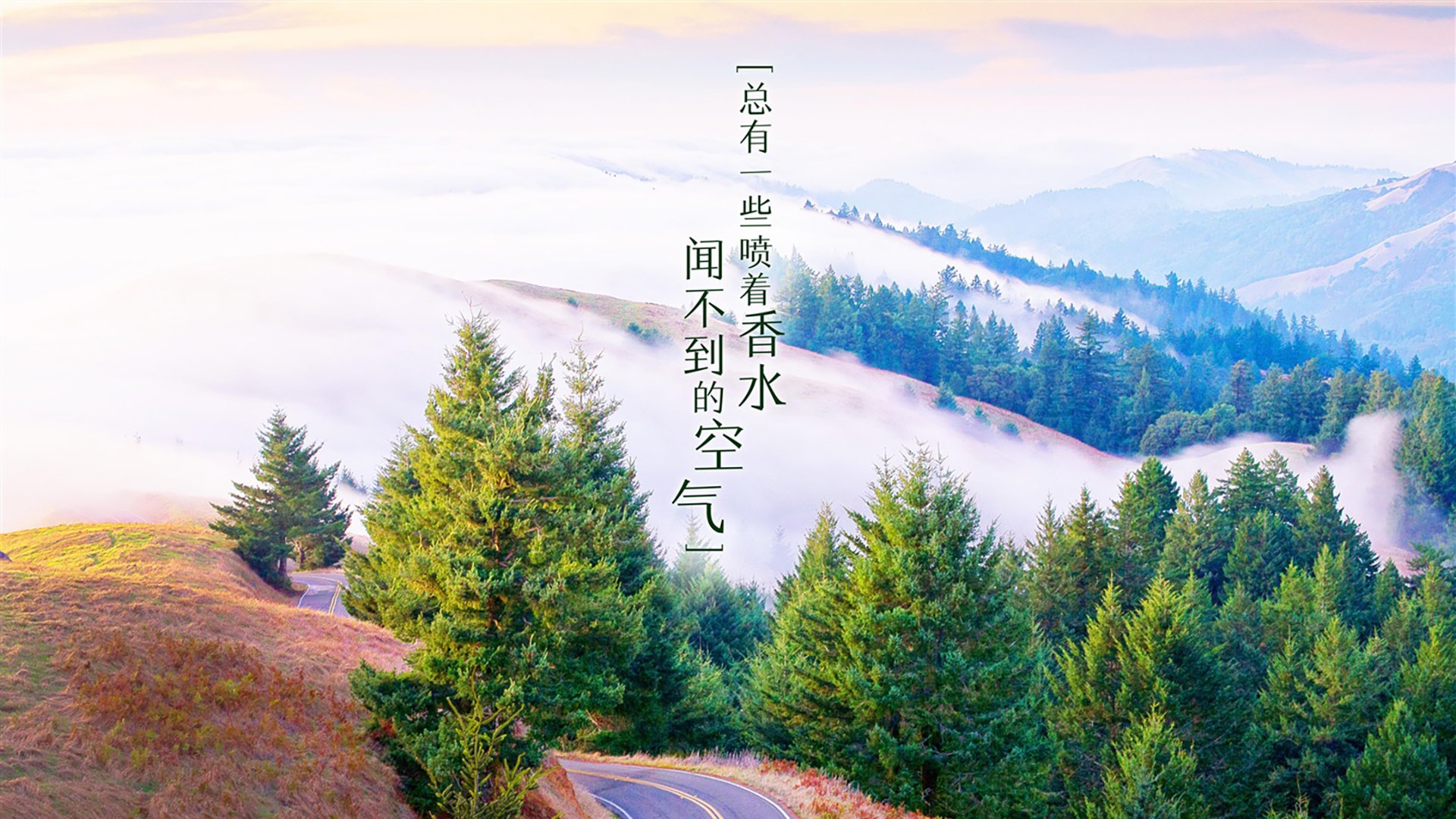 黑白直播nba-蓝白风暴中的绝命一刀,萨内致命一击,乌拉圭险胜越南晋级八强