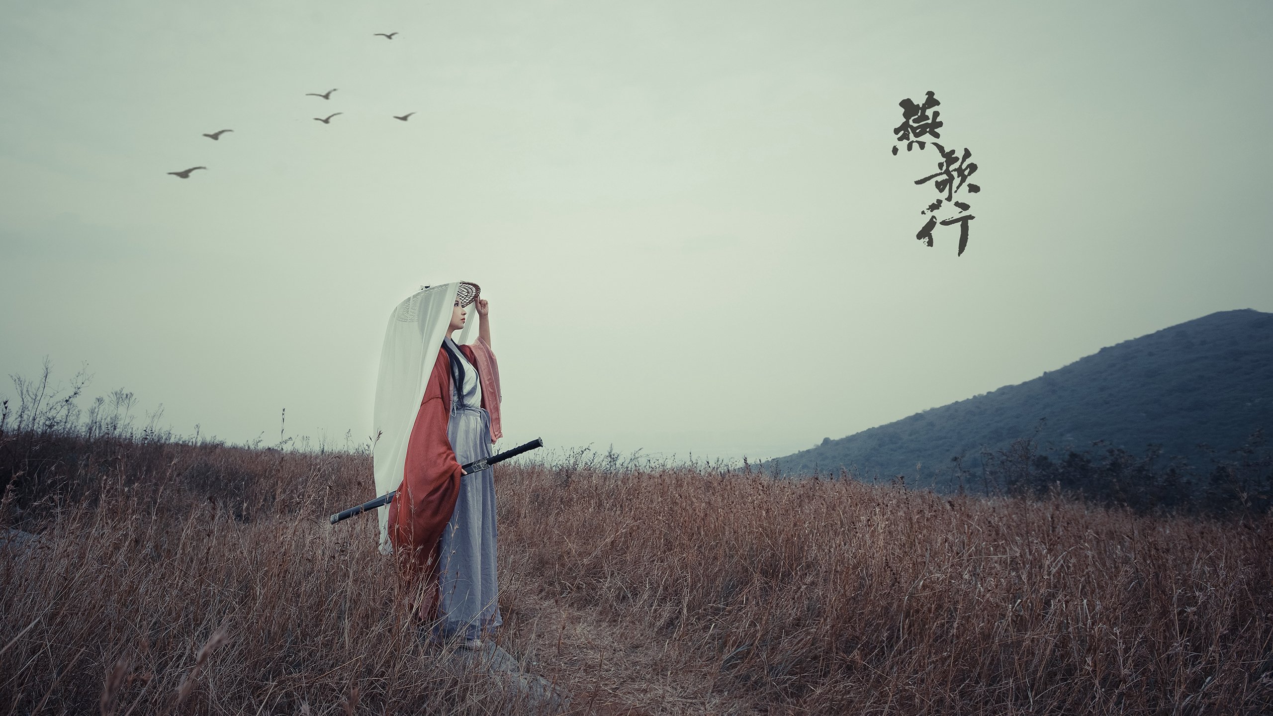 生或死的抉择,2026世界杯G组生死战,意大利绝地反击击溃突尼斯,孙兴慜率韩国逆转翻盘