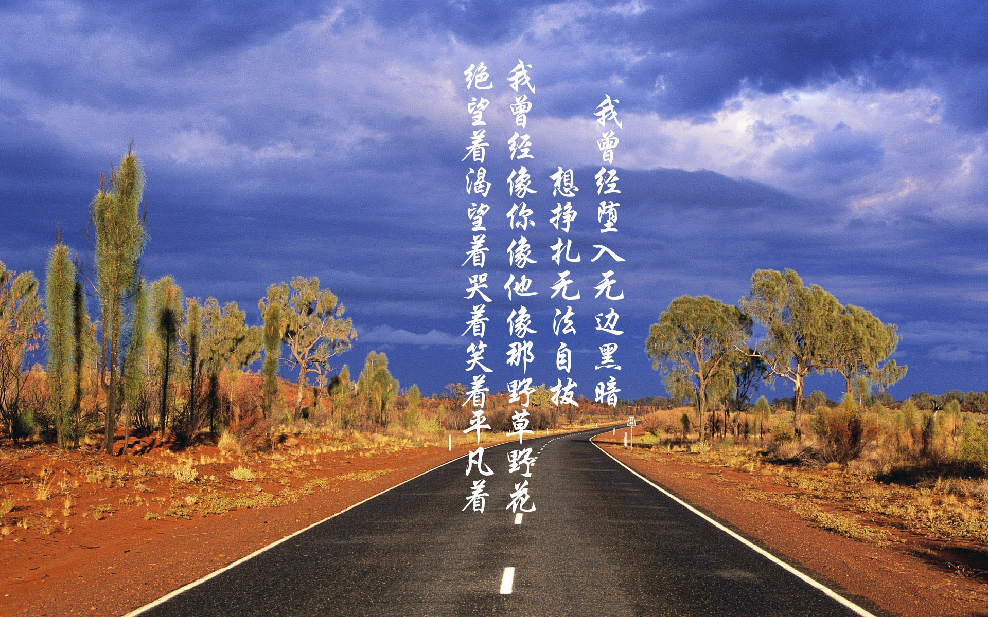 沙漠之狐的逆袭,齐耶赫致命一击,突尼斯压制意大利震惊2026世界杯